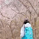 北京旅游 缩略图 8