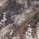 北京旅游 缩略图 11