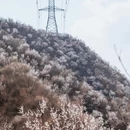 北京旅游 缩略图 9