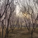 北京旅游 缩略图 4