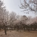 北京旅游 缩略图 2