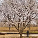 北京旅游 缩略图 5