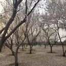 北京旅游 缩略图 8