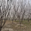 北京旅游 缩略图 11