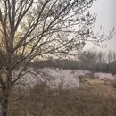 北京旅游 缩略图 7