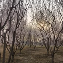 北京旅游 缩略图 12