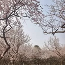 北京旅游 缩略图 1