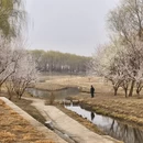 北京旅游 缩略图 16