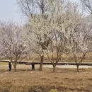 北京旅游 缩略图 14