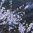 北京旅游 缩略图 2