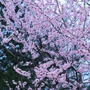 北京旅游 缩略图 5