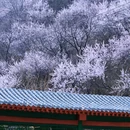 北京旅游 缩略图 7