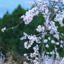 北京旅游 缩略图 10