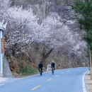 北京旅游 缩略图 12