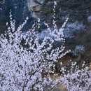 北京旅游 缩略图 15