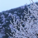 北京旅游 缩略图 13