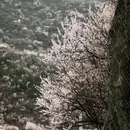 北京旅游 缩略图 16
