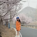天津旅游 缩略图 5