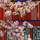 北京旅游 缩略图 12