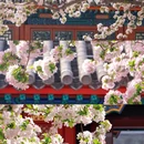 北京旅游 缩略图 10