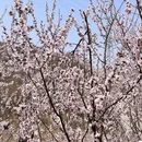 北京旅游 缩略图 3