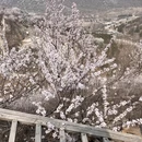 北京旅游 缩略图 4