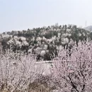 北京旅游 缩略图 2
