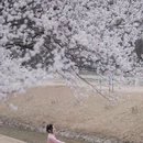 北京旅游 缩略图 1