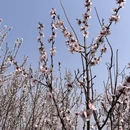 北京旅游 缩略图 6