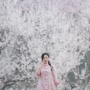 北京旅游 缩略图 5