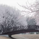 北京旅游 缩略图 17