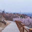 北京旅游 缩略图 7