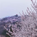 北京旅游 缩略图 6