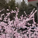 北京旅游 缩略图 1