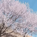 北京旅游 缩略图 3
