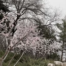 北京旅游 缩略图 4