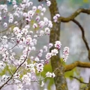 北京旅游 缩略图 2