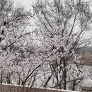 北京旅游 缩略图 5