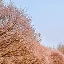 北京旅游 缩略图 4