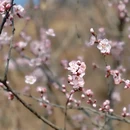 北京旅游 缩略图 2