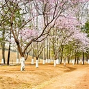 北京旅游 缩略图 3