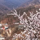 北京旅游 缩略图 3