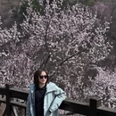 北京旅游 缩略图 1