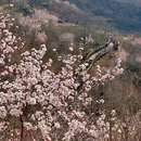 北京旅游 缩略图 4