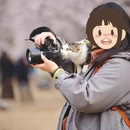 北京旅游 缩略图 4