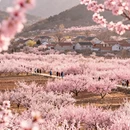 北京旅游 缩略图 1