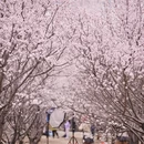 北京旅游 缩略图 8