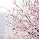 北京旅游 缩略图 3