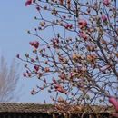 北京旅游 缩略图 5