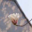 北京旅游 缩略图 4